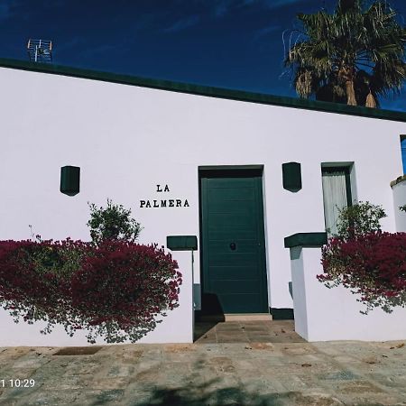 Casa La Palmera - Solo Familias Y Parejas Conil De La Frontera Esterno foto