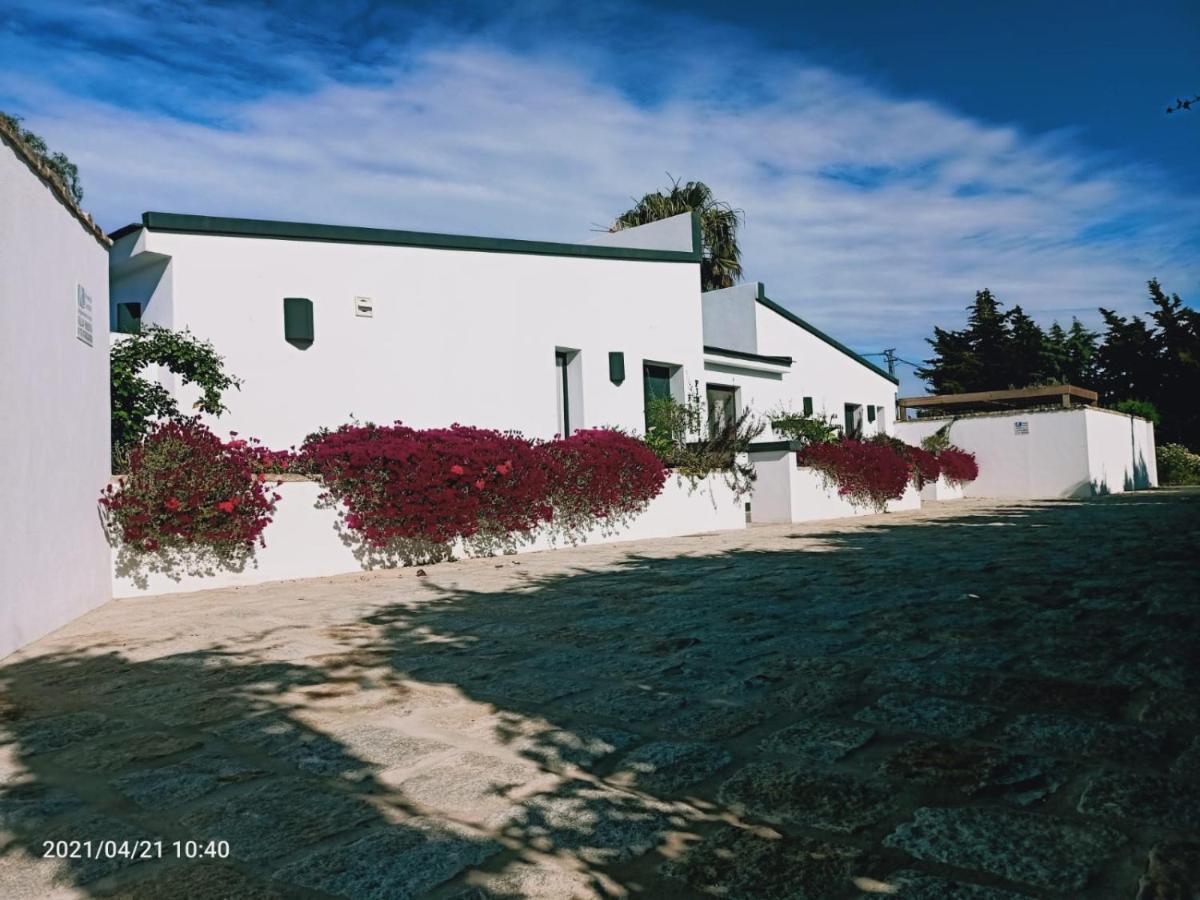 Casa La Palmera - Solo Familias Y Parejas Conil De La Frontera Esterno foto